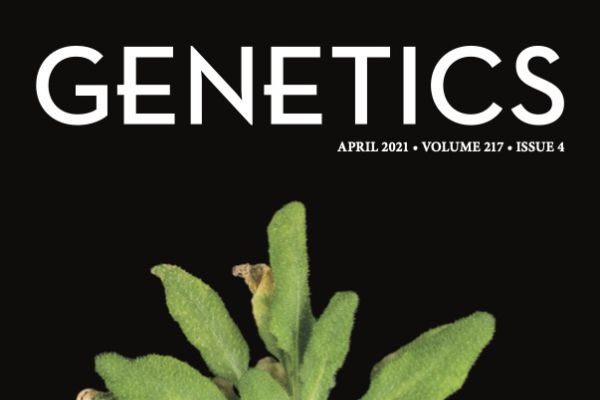The cover of the April 2021 edition of Genetics magazine