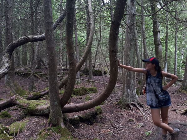 April leaning against a tree in a forest