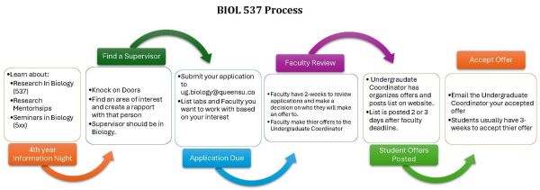 BIOL 537 Process Flow Chart