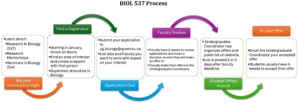 BIOL 537 Process Flow Chart