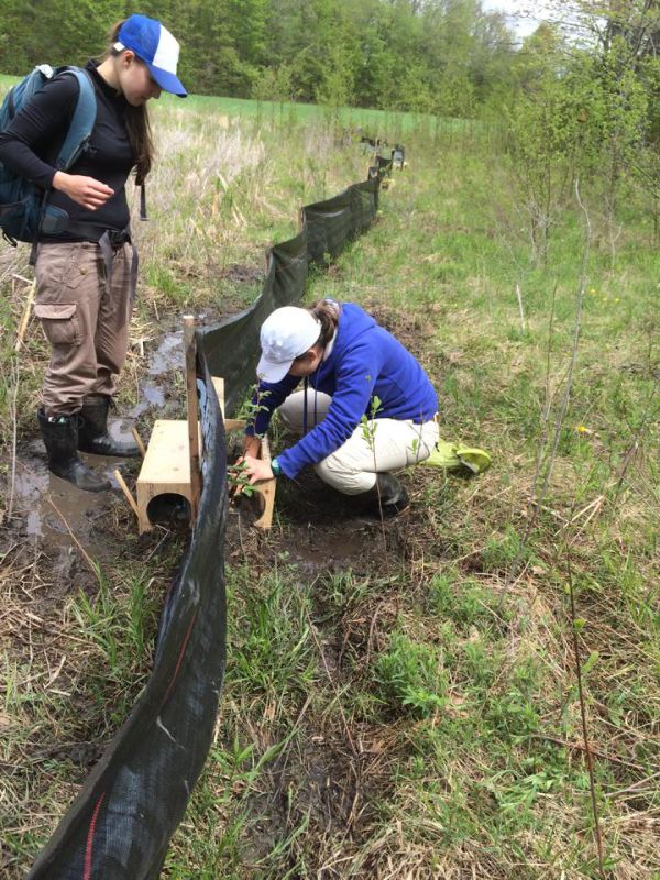Amanda and Hayley checking traps