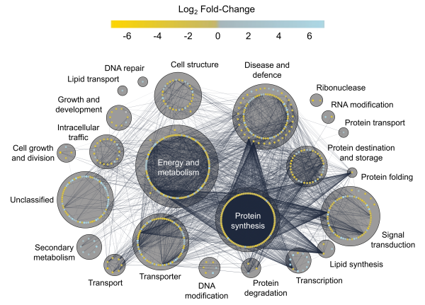 The Brachypodium distachyon cold-acclimated plasma membrane proteome is primed for stress resistance