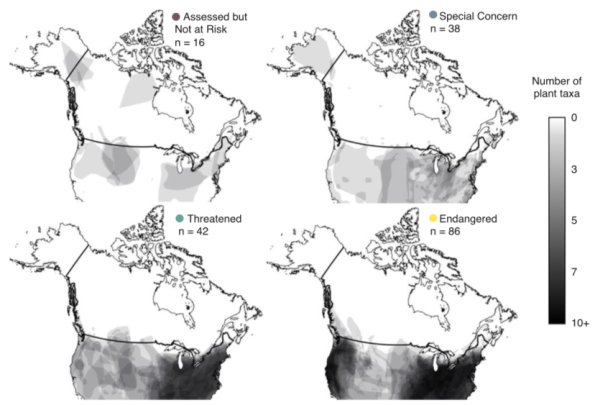 Range-Edge Plant Populations of High Conservation Priority Lack Adequate Habitat Protection and Research Effort