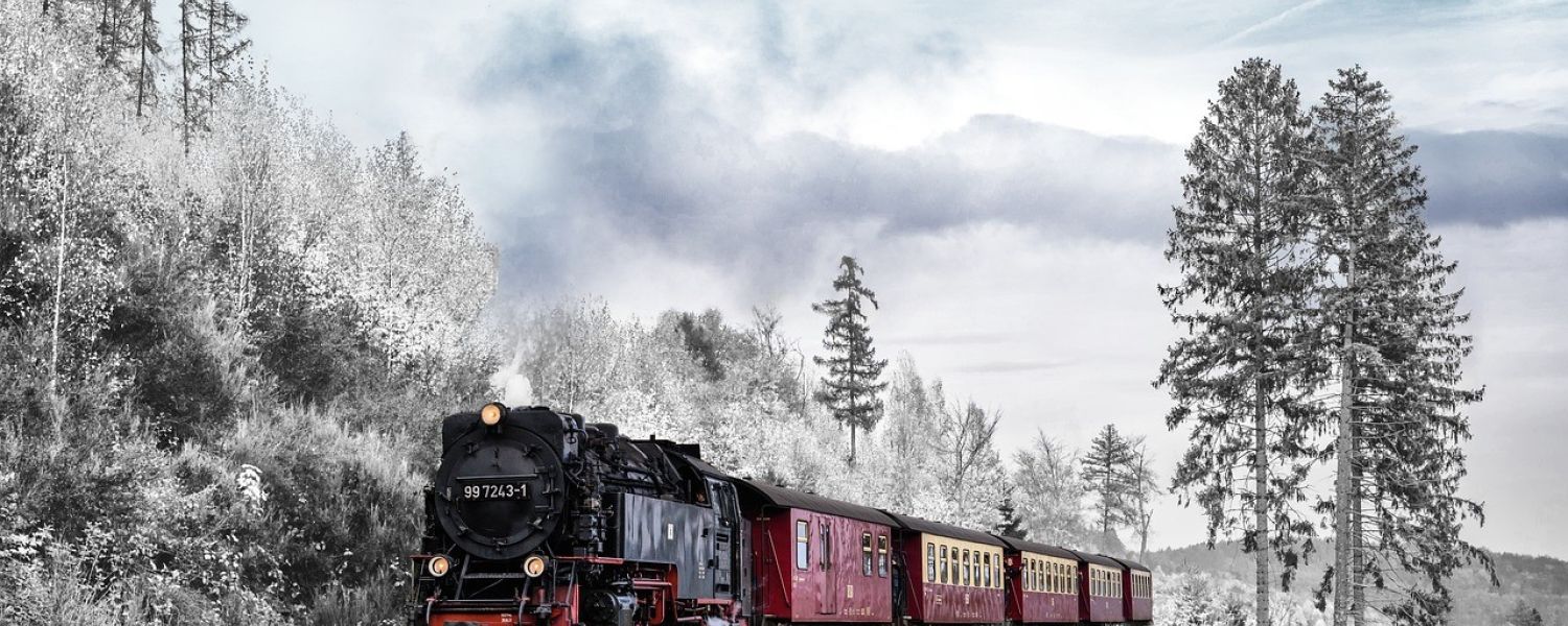 Train Traveling Home in Winter 