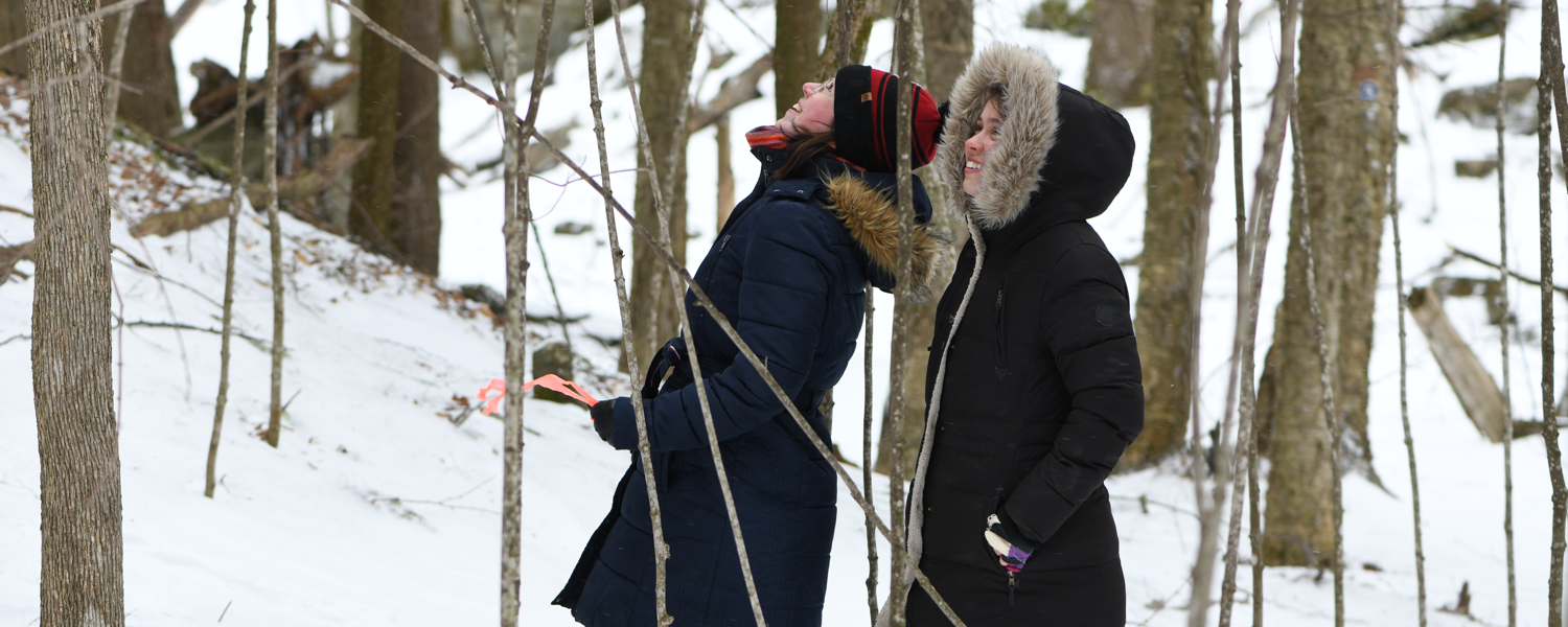 Paul Martin’s Winter Ecology of Birds course (Feb 23)