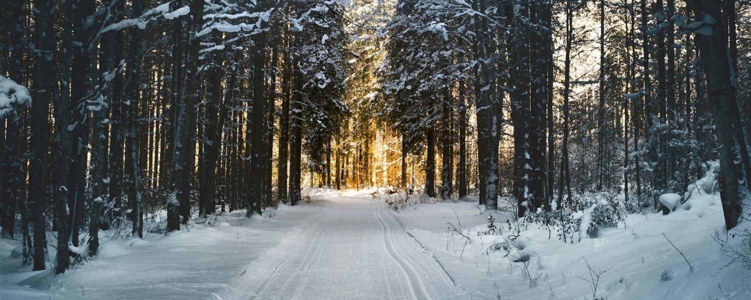 Winter Covered Road