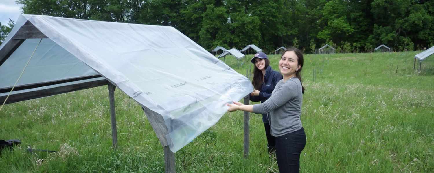 Covering plant communities in the field