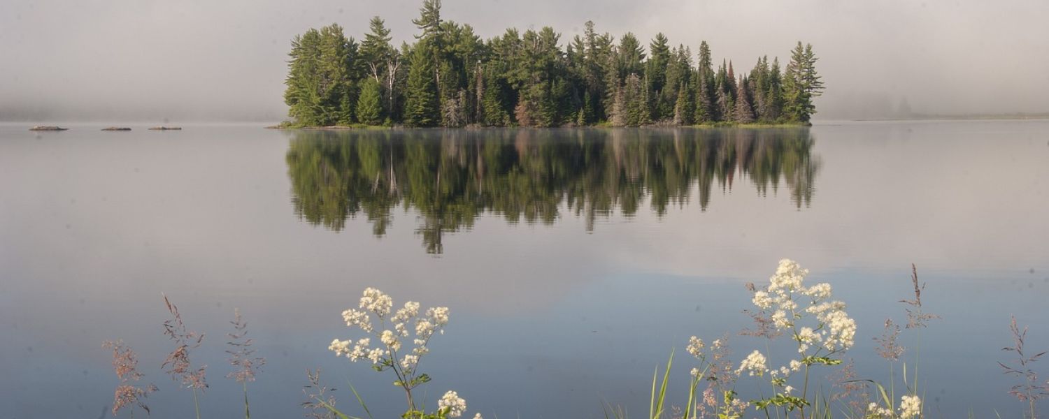 Island on Lake