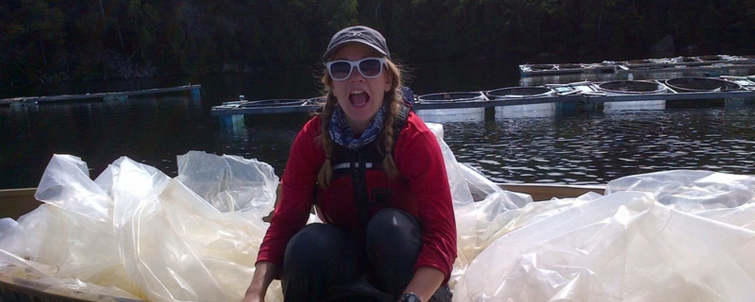 Mesocosm experiments