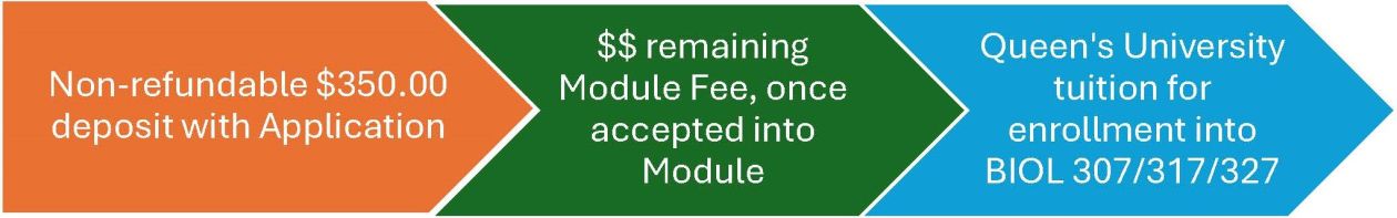 Image of Fees