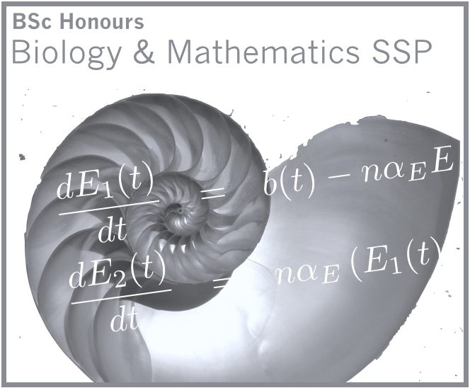 Biology and Mathematics SSP | Department of Biology, Queen's University