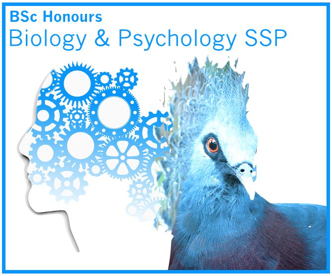 Biology and Psychology SSP