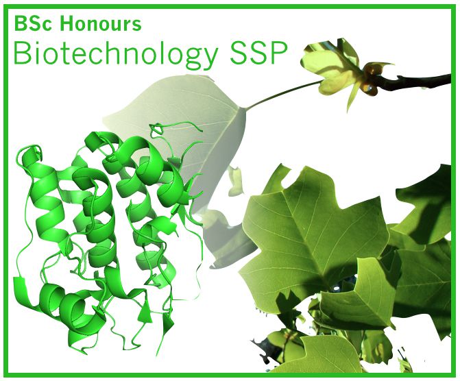 Biotechnology SSP