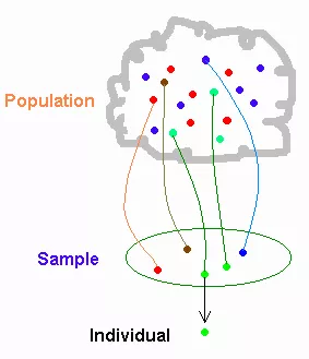 The population is a cloud of individuals points. A subset of these points move into a new group outside the cloud and become the sample. A single point from the sample is an individual.