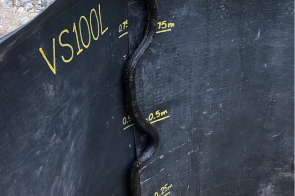 Species-Specific Conservation Strategies to Minimize Gray Ratsnake Road Mortality