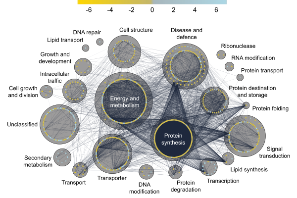 The Brachypodium distachyon cold-acclimated plasma membrane proteome is primed for stress resistance